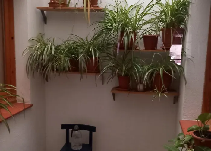Casa di campagna Cal Manyo Puigvert de Lérida